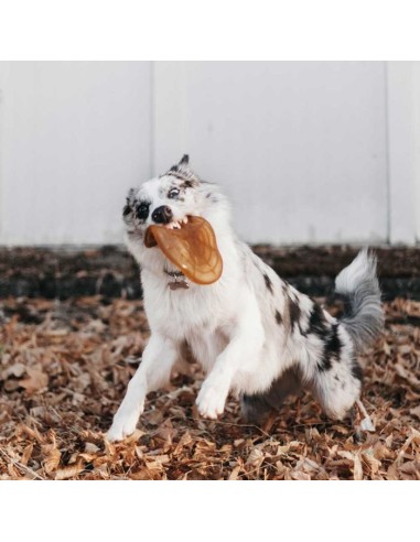 juguete-perro-caucho-natural