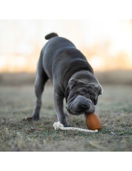 juguete-perro-caucho-natural