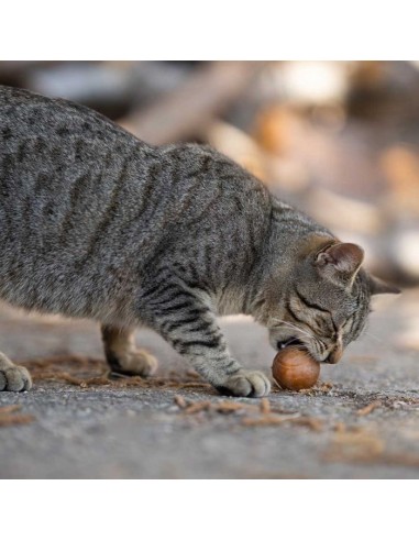 juguete-gato-caucho-natural