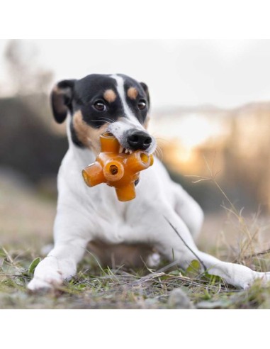 juguete-perro-caucho-natural
