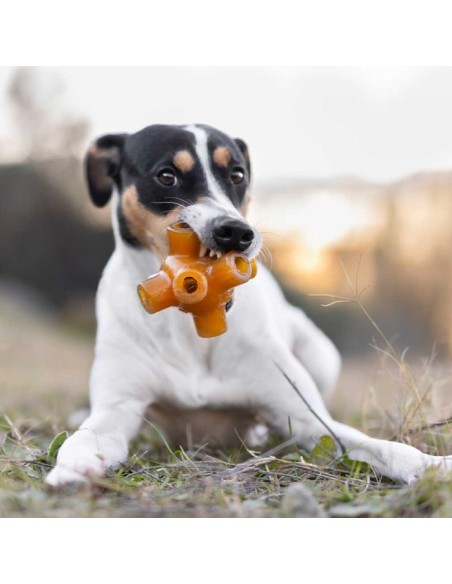 juguete-perro-caucho-natural