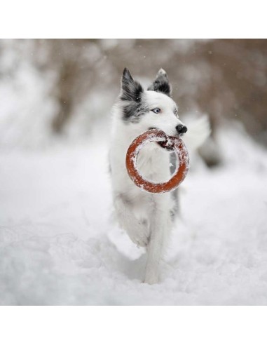 juguete-perro-caucho-natural