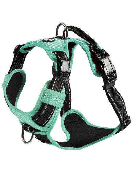 arnes-perro-rando-walk-turquesa