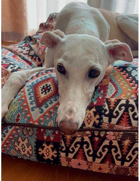 cama-especial-galgo
