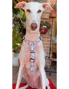 arnes-algodon-antiescape-galgo