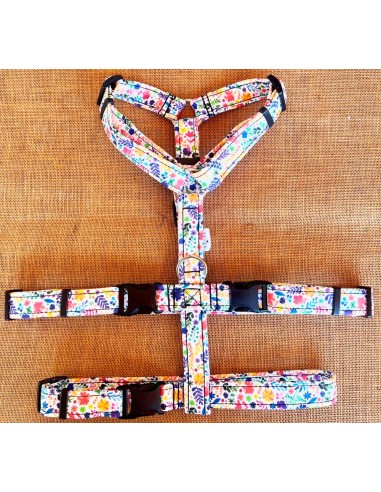 arnes-algodon-antiescape-galgo