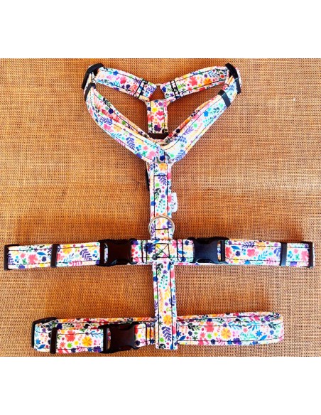 arnes-algodon-antiescape-galgo