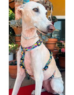 arnes-algodon-antiescape-galgo
