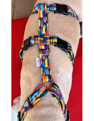 arnes-algodon-antiescape-galgo