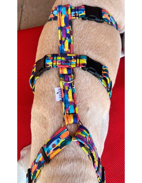 arnes-algodon-antiescape-galgo