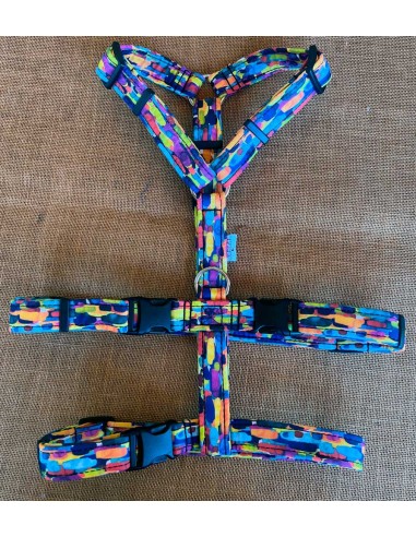 arnes-algodon-antiescape-galgo