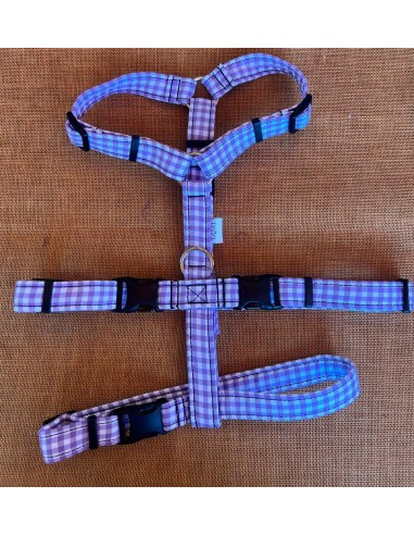 arnes-algodon-antiescape-galgo