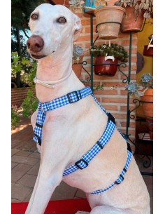 arnes-algodon-antiescape-galgo