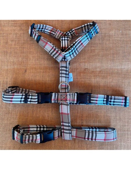 arnes-algodon-antiescape-galgo