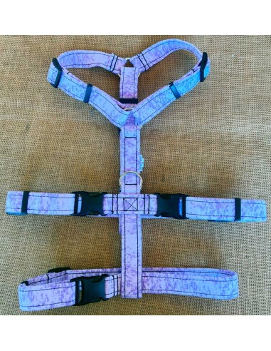 arnes-algodon-antiescape-galgo