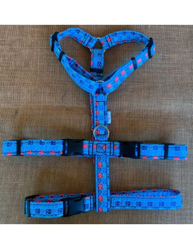 arnes-algodon-antiescape-galgo