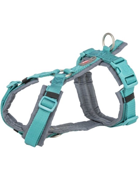 arnes-perro-trekking