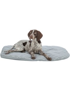 Cama económica para perro en color gris