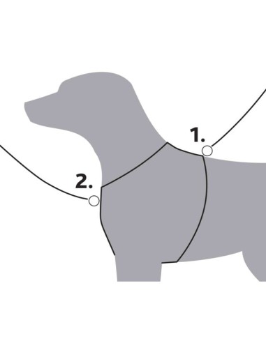 arnes-perro-trekking