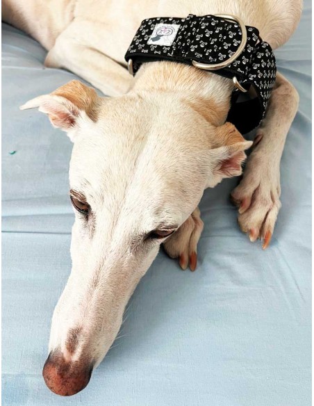 collar-galgo-algodon