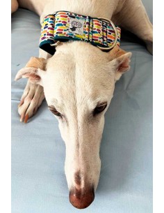 collar-galgo-algodon