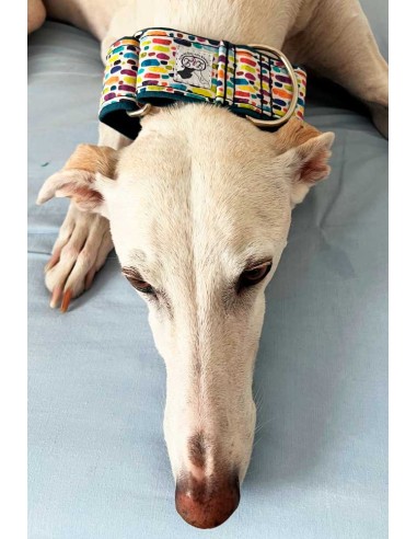 collar-galgo-algodon
