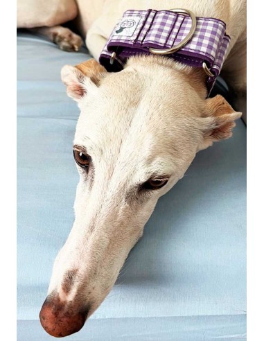 collar-galgo-algodon
