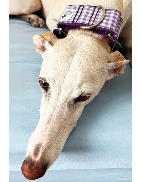 collar-galgo-algodon