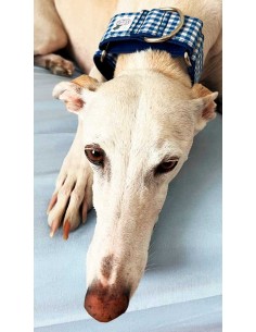 collar-galgo-algodon
