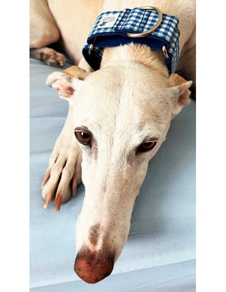 collar-galgo-algodon