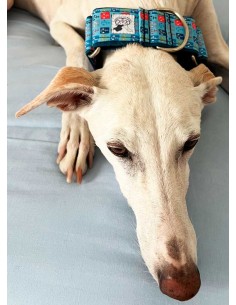 collar-galgo-algodon