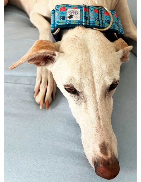 collar-galgo-algodon