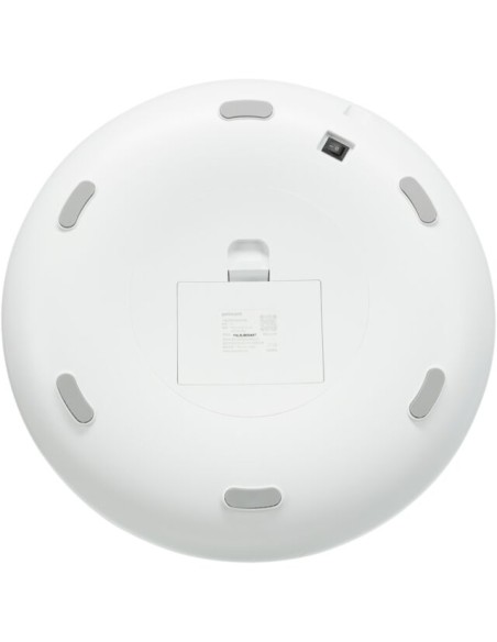 comedero-automatico-perro