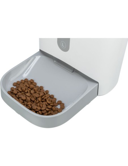 comedero-automatico-perro