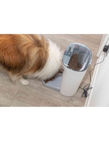 comedero-automatico-perro