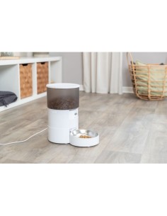 comedero-automatico-perro