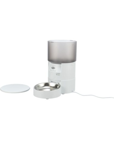 comedero-automatico-perro