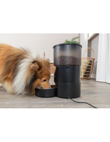 comedero-automatico-perro