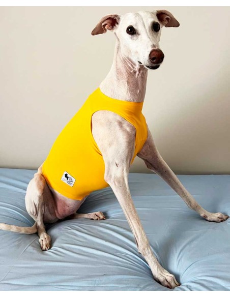 peto-galgo-lycra-amarillo