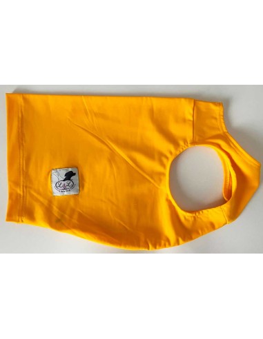 peto-galgo-lycra-amarillo