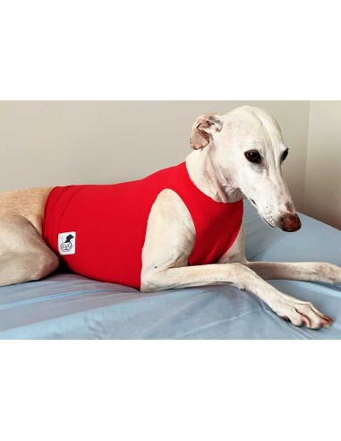 peto-galgo-lycra-rojo