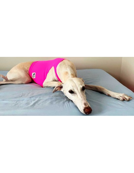 peto-galgo-lycra-rosa