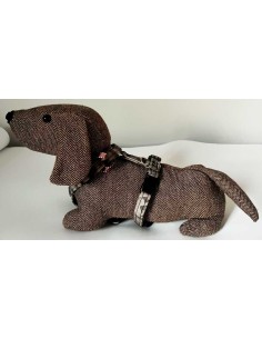 arnes-algodon-perro