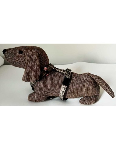 arnes-algodon-perro