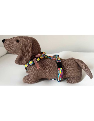 arnes-algodon-perro