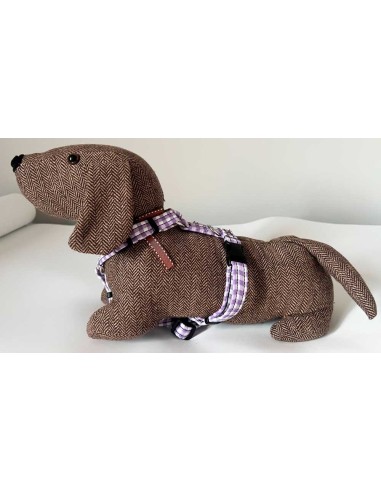 arnes-algodon-perro