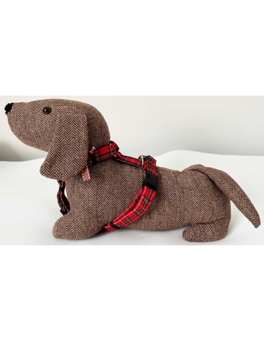 arnes-algodon-perro