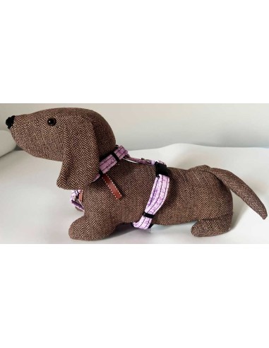 arnes-algodon-perro