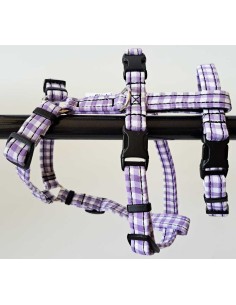 arnes-algodon-piccolo