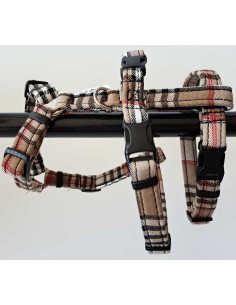 arnes-algodon-piccolo